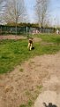 Afb20170420 (33)